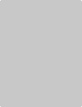 Business Insurance Icon